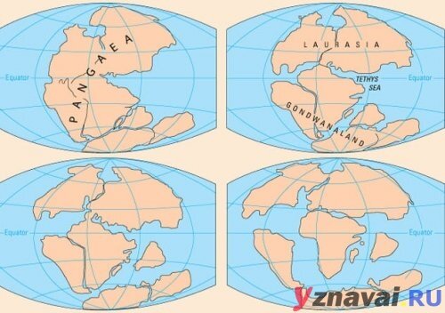 Контурная карта всех материков - TouristMaps.ru