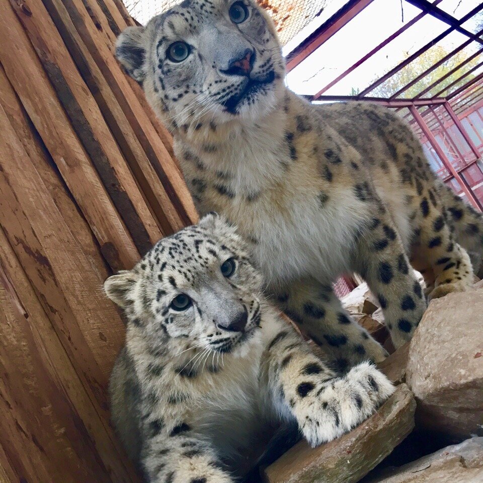 Фото: Анна Юрганова