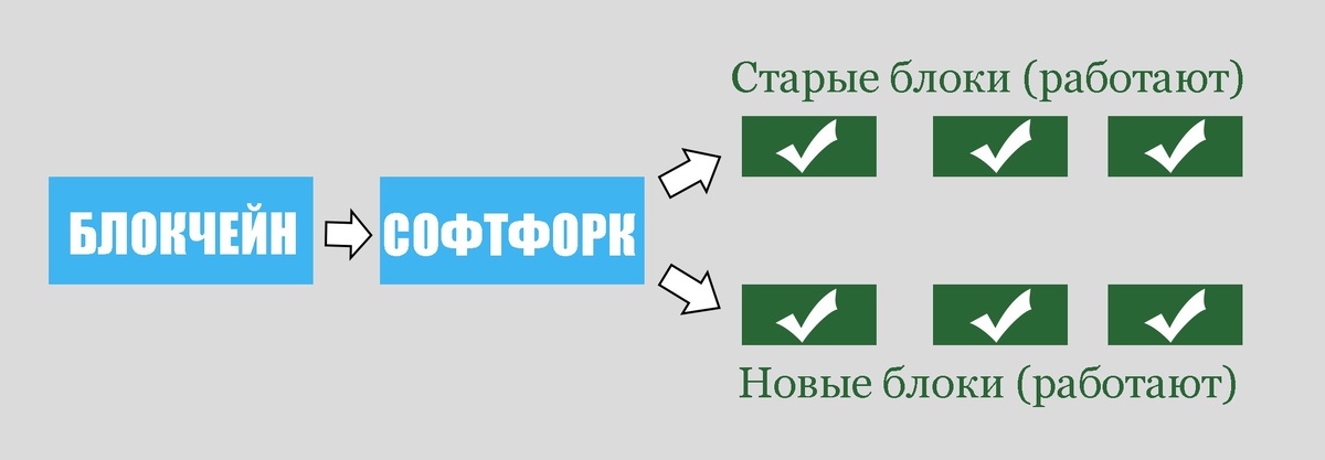 Графическая схема описания работы софтфорка