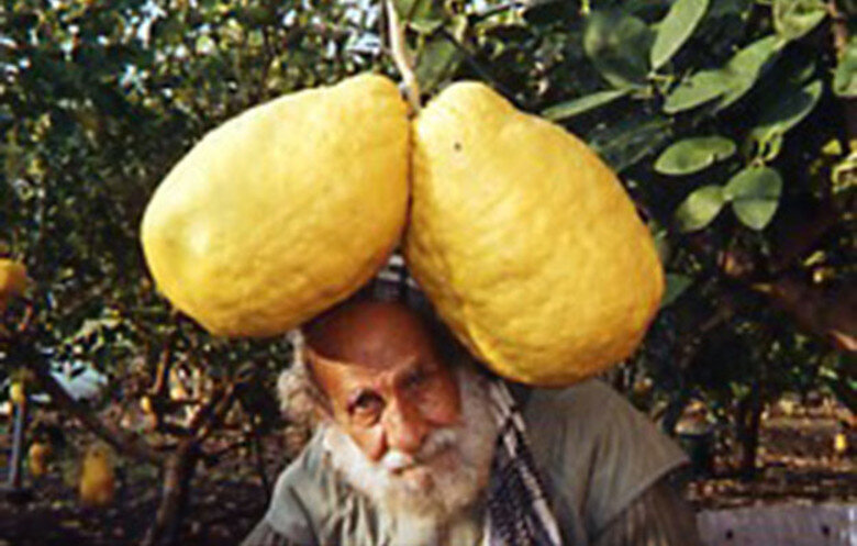 фото с сайта guinnessworldrecords.com