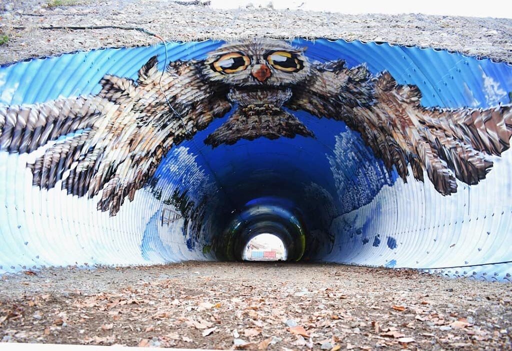 Фото: instagram.com/stenaclub