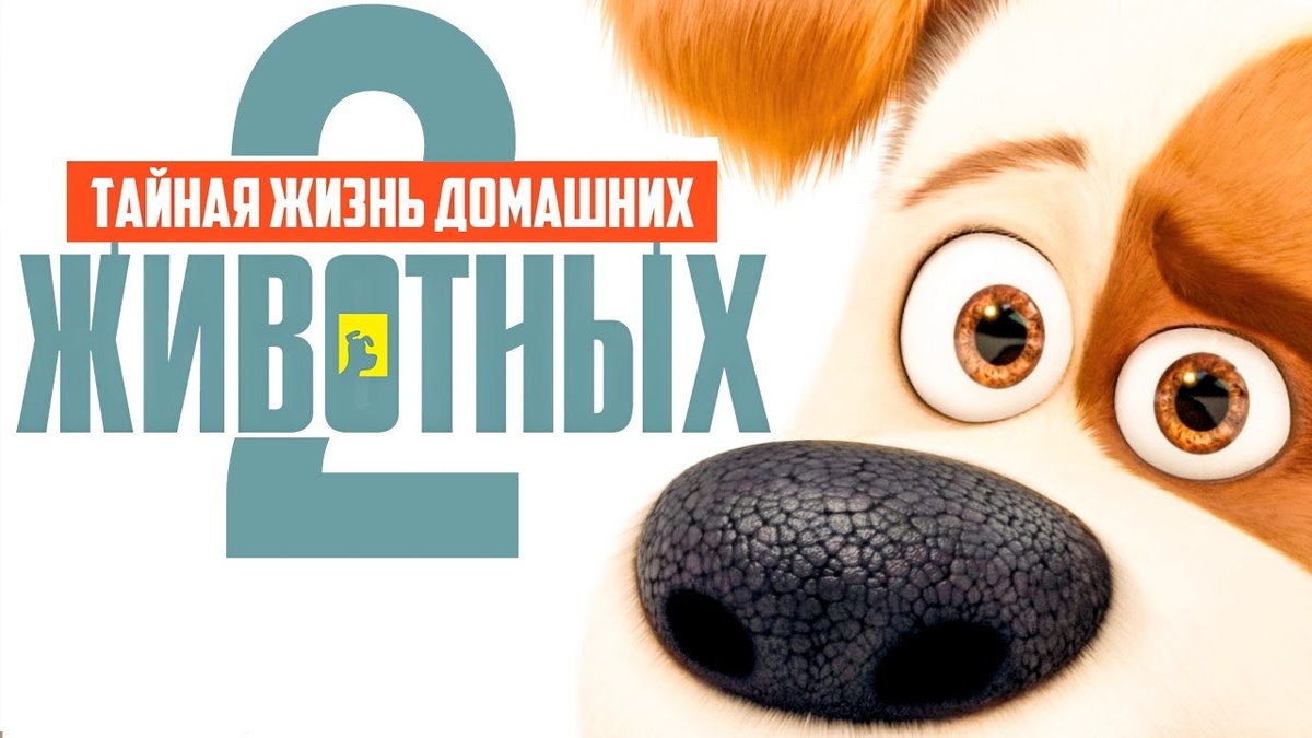 Фото: скриншот трейлера
