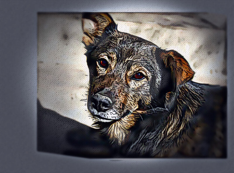 Хорошо сейчас поставим не знаю