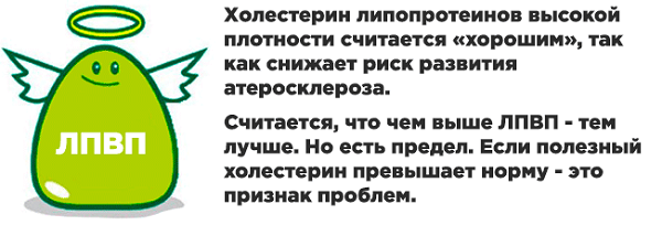 фото: https://holestein.ru