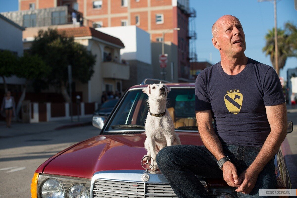 Действие данной картины разворачивается в Венис Бич, согласно настоящему названию фильма а не пост-наркотическому состоянию отечественных горе-локализаторов, убежденных в том, что способны подобрать оригинальное и звучное название для российского проката.  
Главный герой Стив — полицейский на пенсии и занимается своим детективным агентством вкупе со своим молодым протеже и в свободное время рассекает на доске в местном скейт-парке. Все в жизни Стива идёт своим чередом, пока однажды пара наркоманов не грабят дом его сестры, прихватив вместе с барахлом его любимого пса Бадди. Теперь ему предстоит приложить все усилия для его поисков. На пути у Стива будет куча препятствий: обязательства по работе, поиск денег и наркотиков для местного авторитета и пара самоанцев, жаждущих намять бока герою за сексуальную связь с их сестрёнкой. 