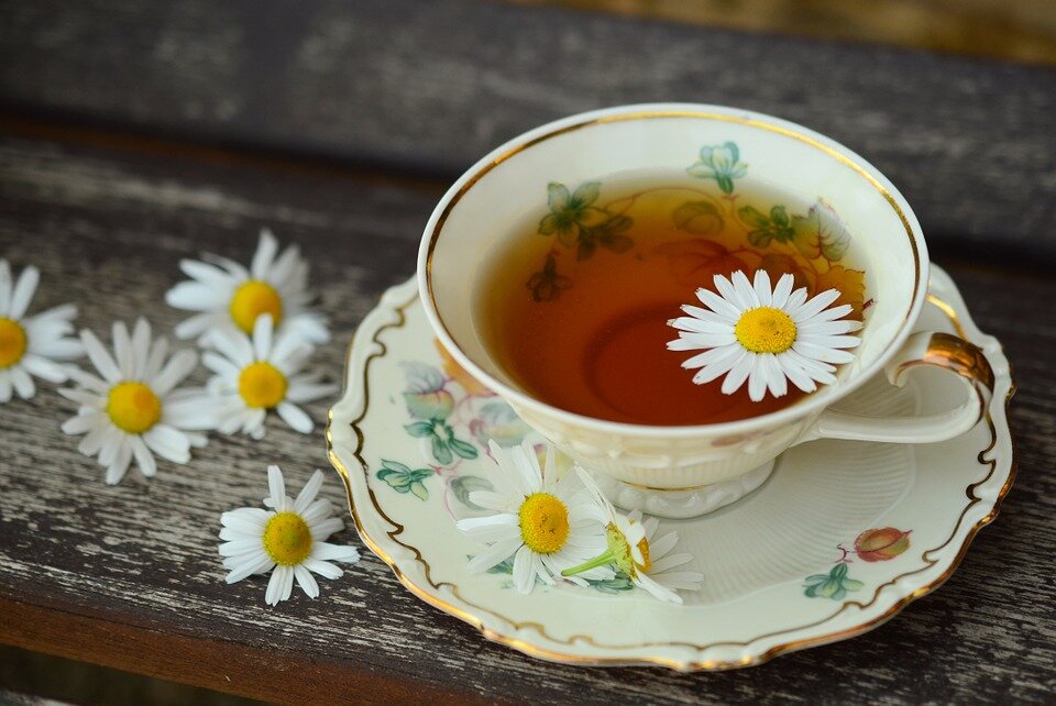 фото с сайта pixabay.com