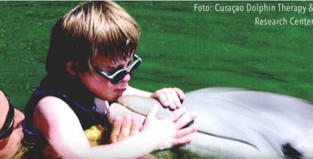 Фото: Curacao Dolphin Therapy & Research Center