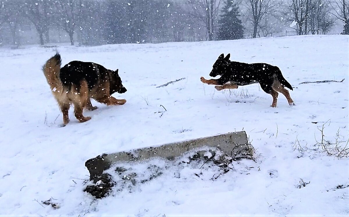 -2