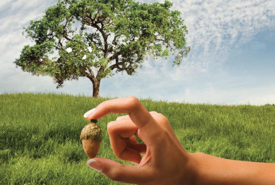 Источник фото yandex.ru