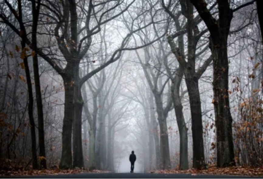 Психиатр Рэндольф Нессе, один из основателей эволюционной медицины, объясняет, почему естественный отбор не избавил наш вид от обременительных психических расстройств