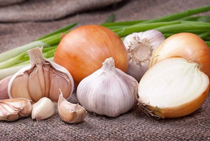 Фото: botanichka.ru