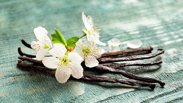 Фото: www.onepixel.com