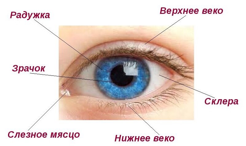 Как действовать при получении травмы глаза