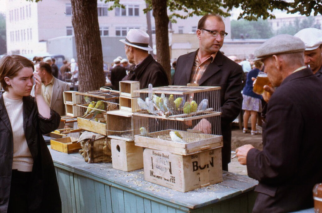 Птичий рынок в Калитниках, 1973 год © Фото Andy Sedik