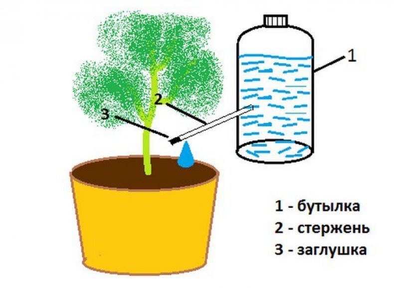 Система капельного полива для дачи