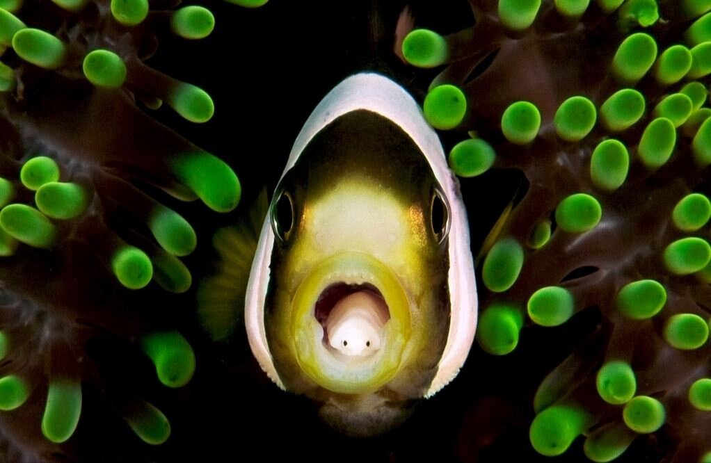 На этом фото все выглядит безобидно 