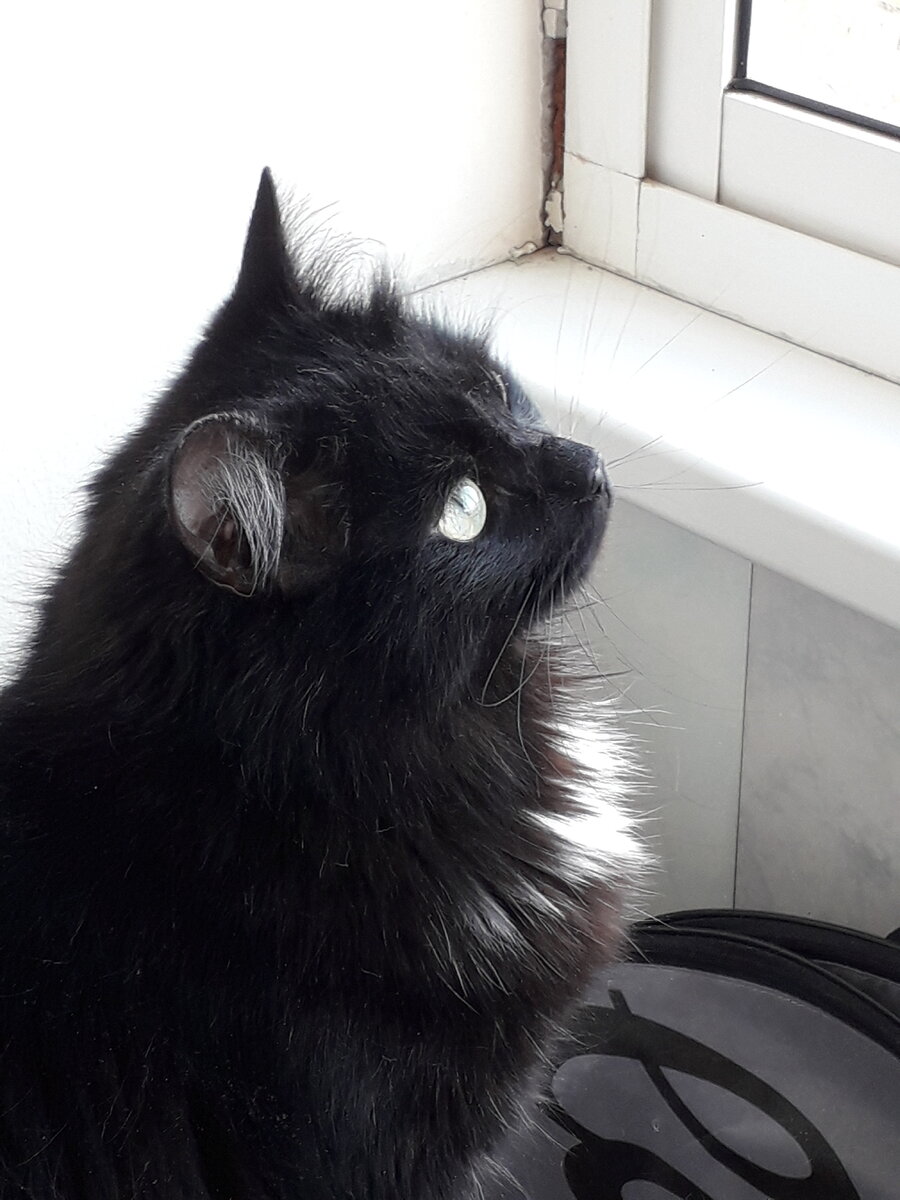 Фото из личного архива 