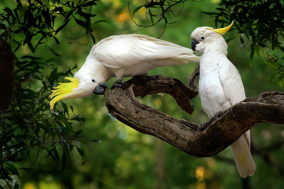  Фото: Martin Pelanek / shutterstock