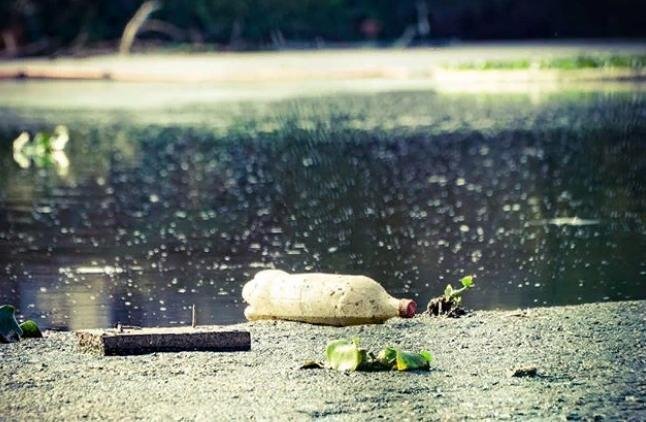 Пруд у д. Николо-Хованское, Фото: Instagram 