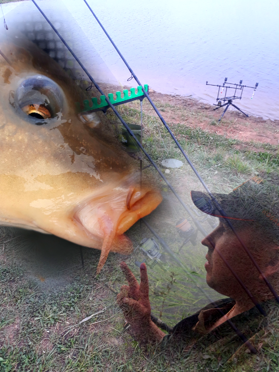 Фото обложка

