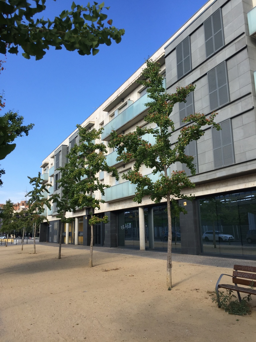 Озеленение есть уже на старте