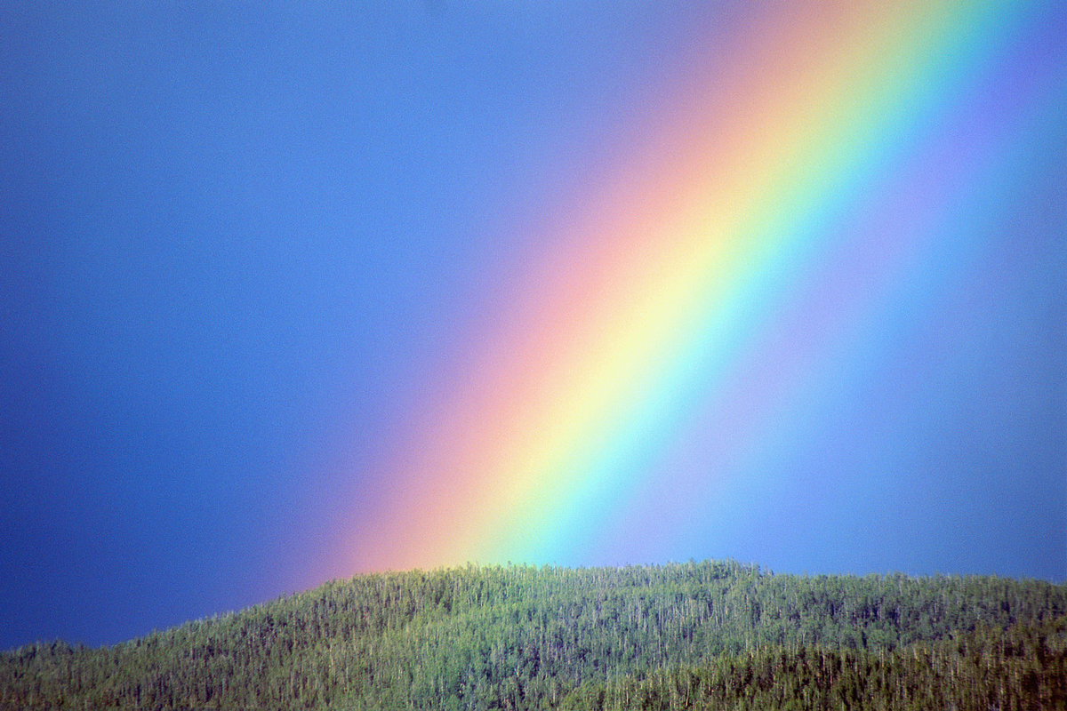 Фото Яндекс Картинки