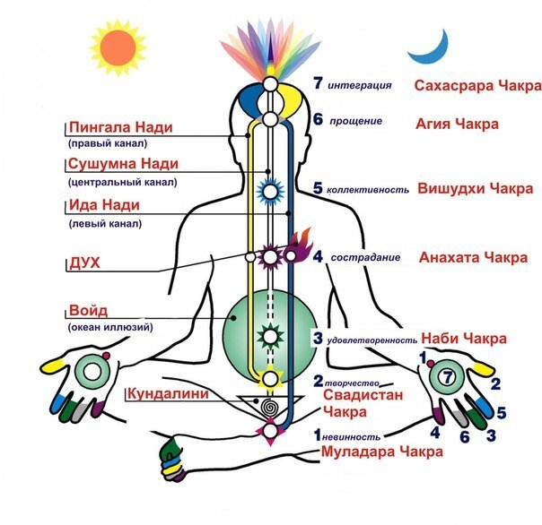 Чакры человека. Фото взято из Яндекс.Картинки