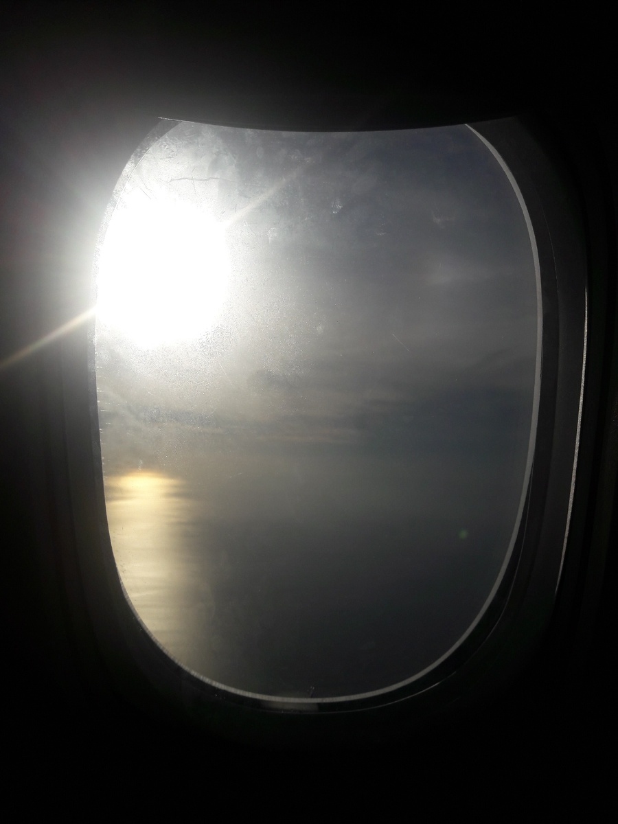 Начало новой маленькой жизни 