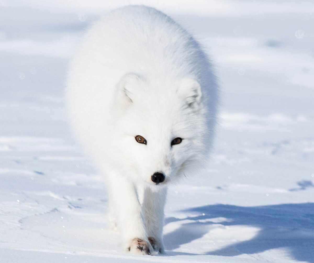 Автор фото: Матвиенко Владимир