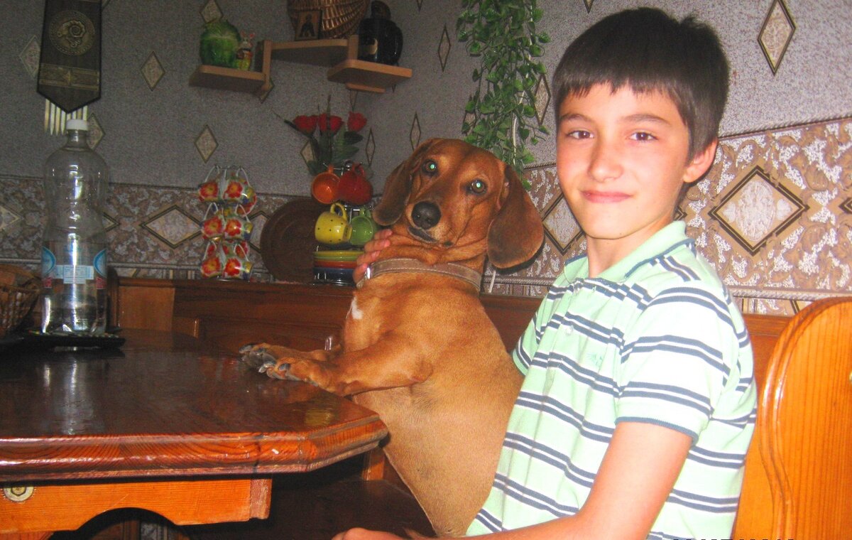 Сосиска и Антоша ждут обеда (фото автора)