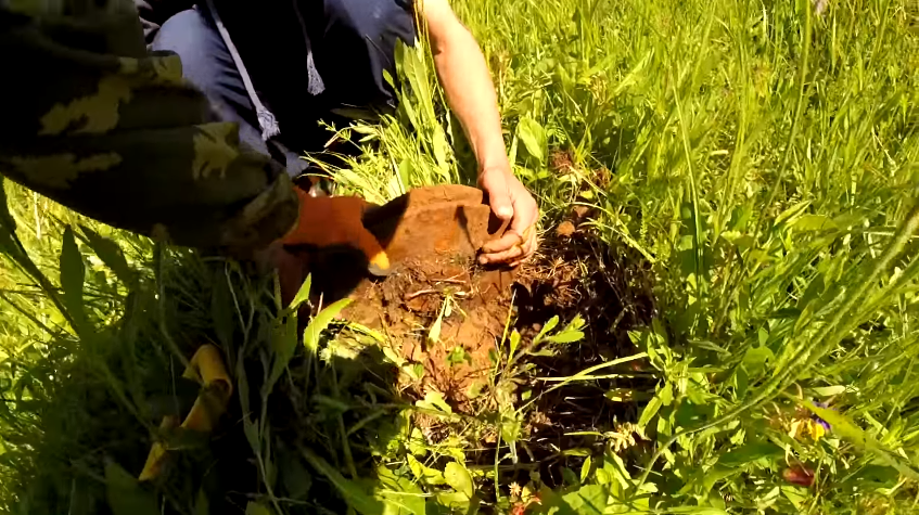 На самом деле не самая лучшая находка, но для первой неплохо, даже хорошо.