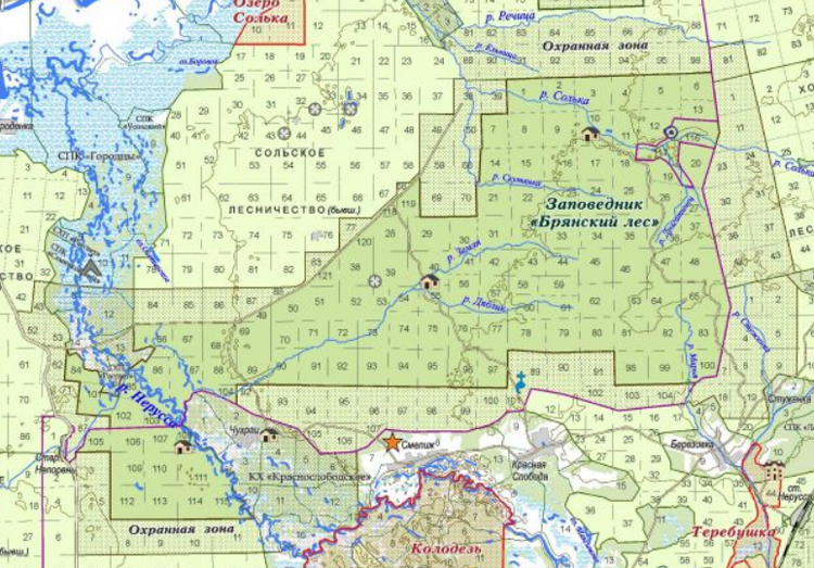 Где находится лес. Границы заповедника Брянский лес на карте. Заповедник Брянский лес на карте. Границы заповедника Брянский лес на карте Брянской области. Заповедник Брянский лес карта заповедника.
