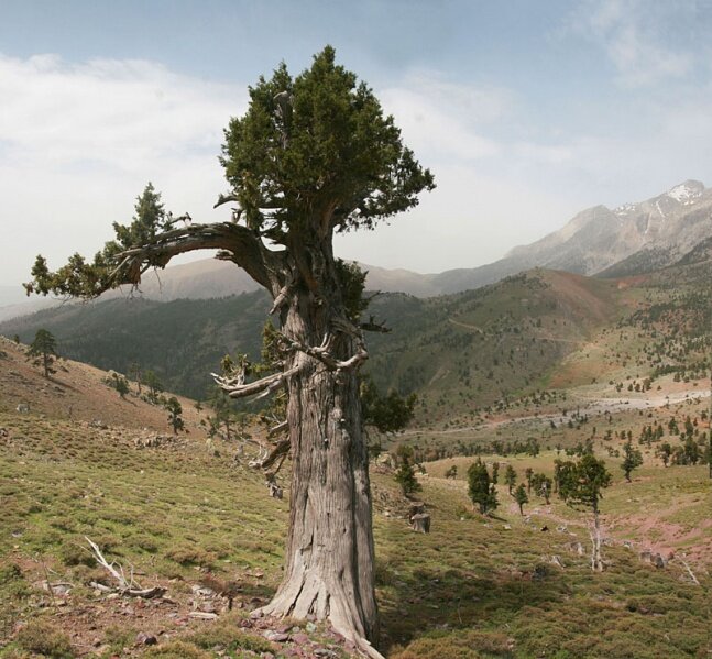Арча в горах Тавра (Турция)