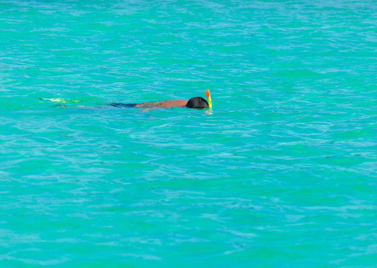 Фото с сайта: publicdomainpictures.net