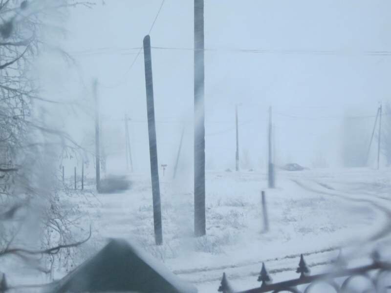 Фото автора.  6 февраля 2020 г.