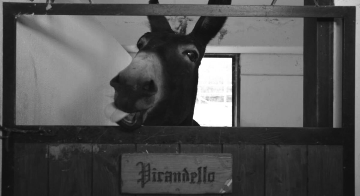 «Осел», реж. Анатолий Васильев, 2017