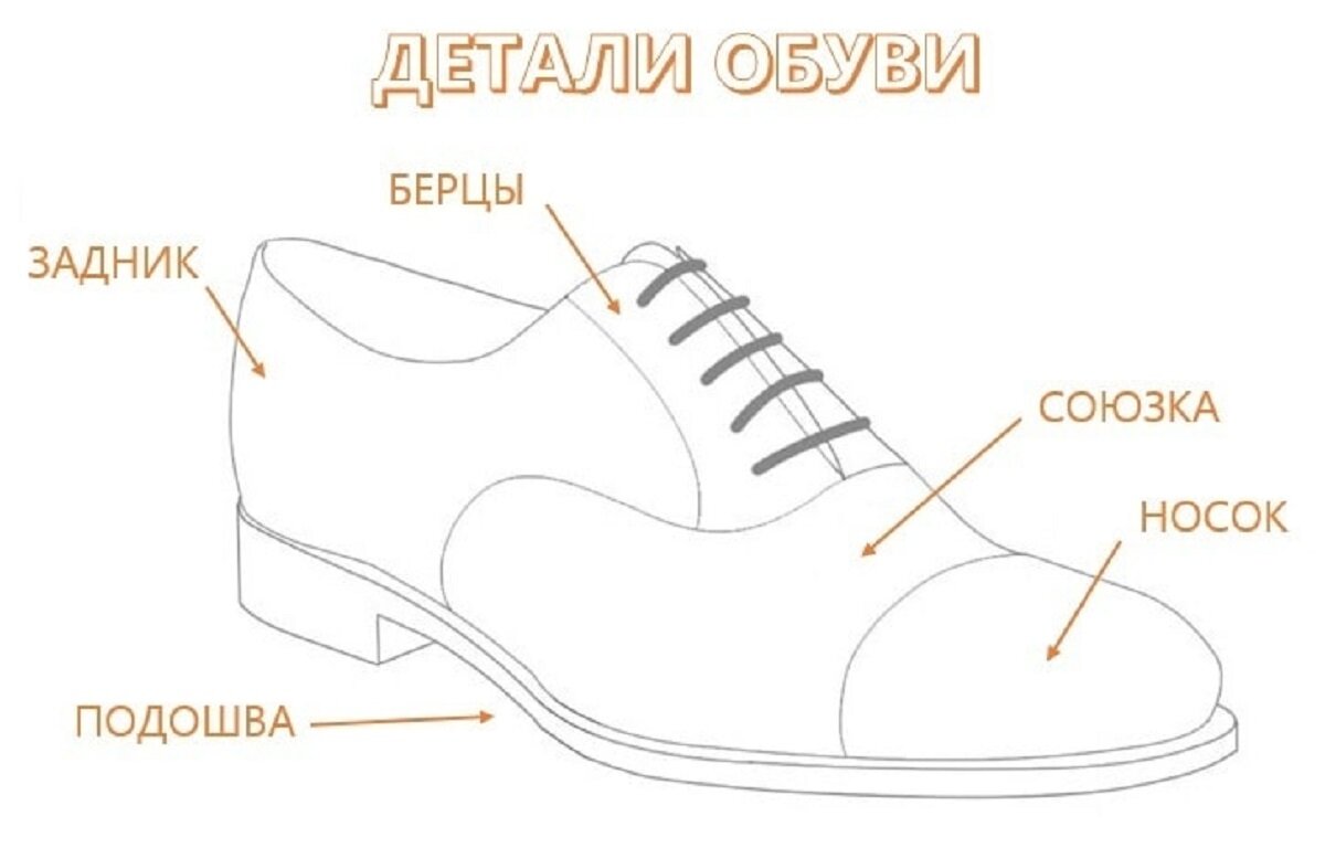 Из чего состоит обувь детали в картинках