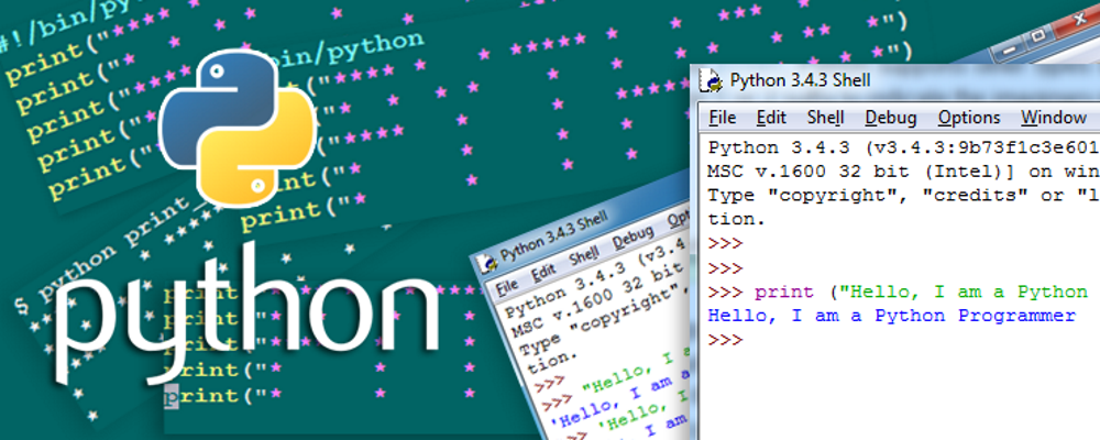 Начало программы на python