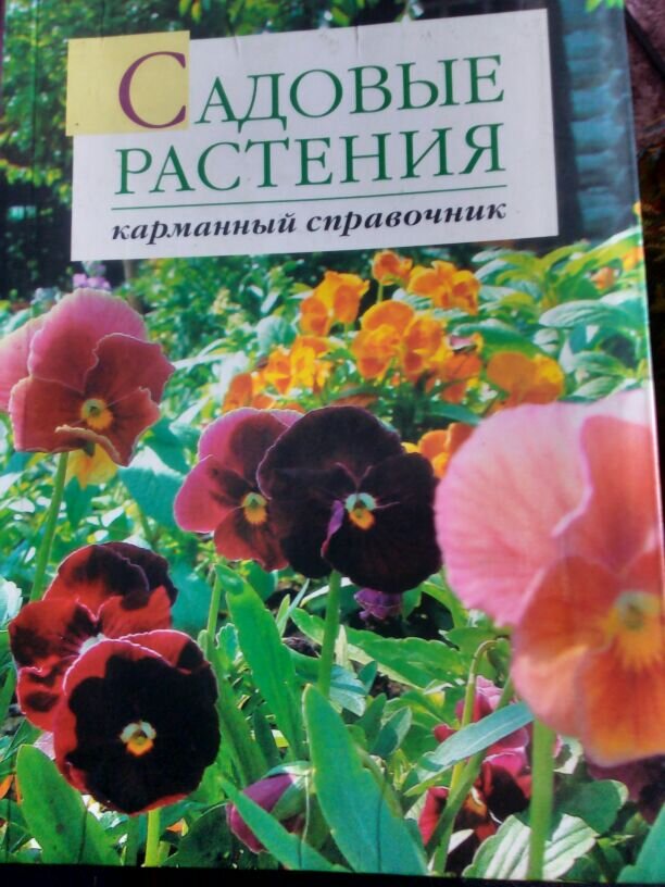 Моя книжка про цветочки