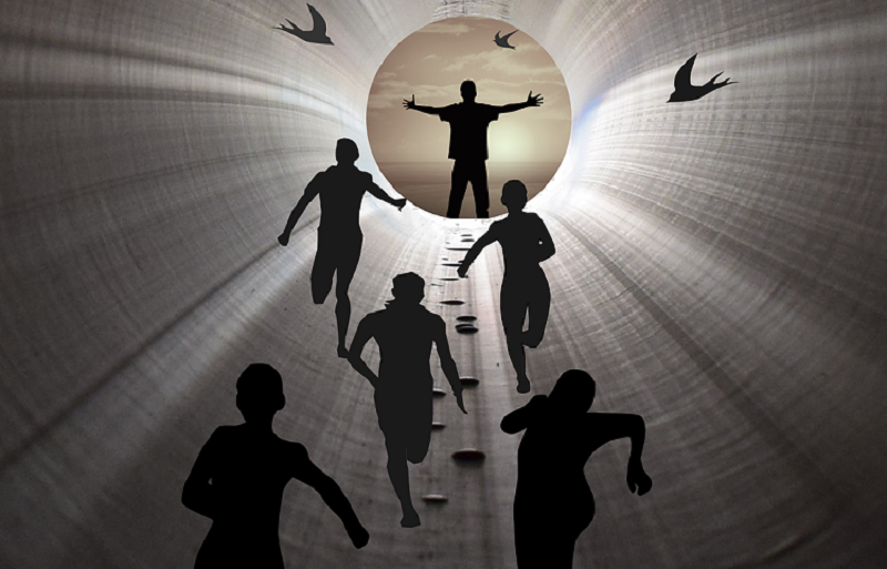  Фото: pixabay.com