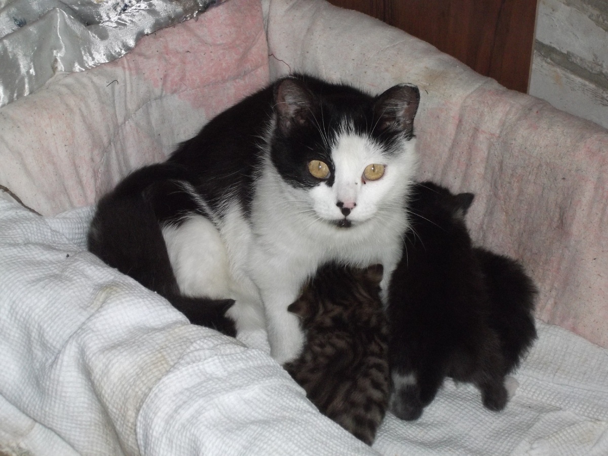 Две недели спустя