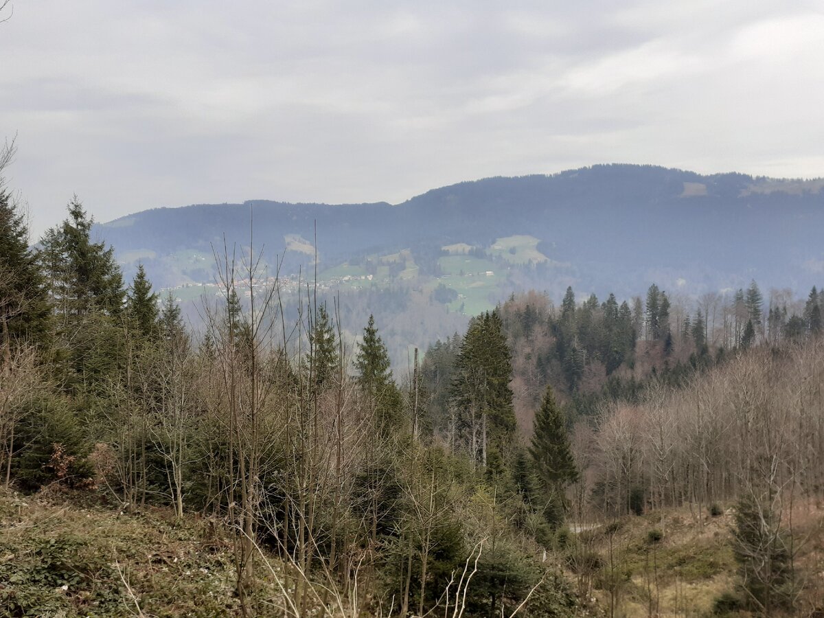 Австрия март 2020