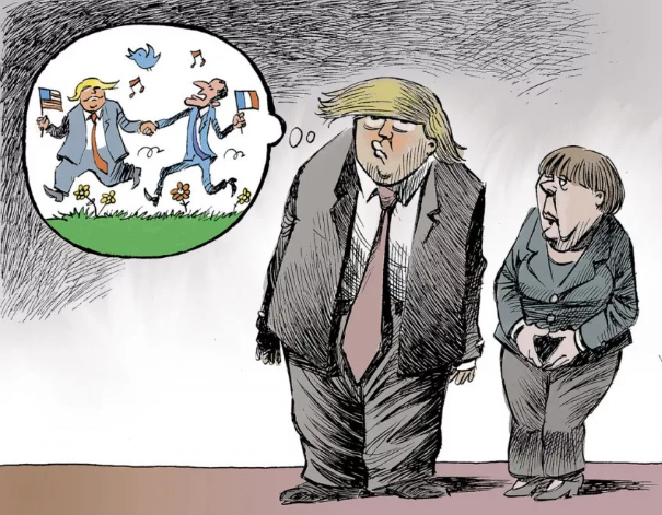         Яндекс картинки