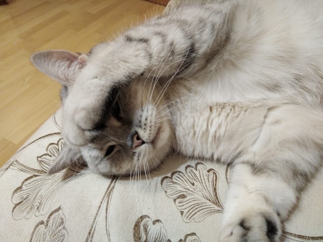 Фёдор