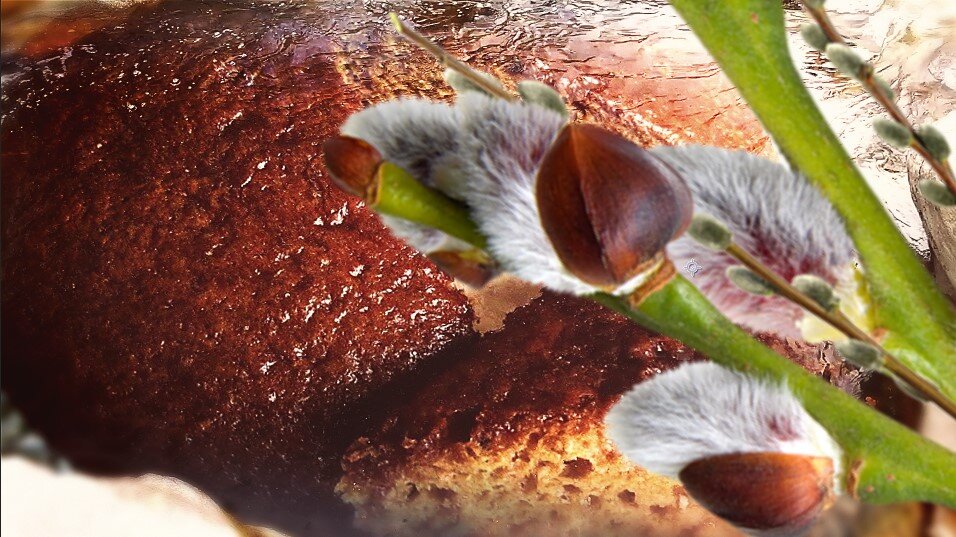 Личный архив.