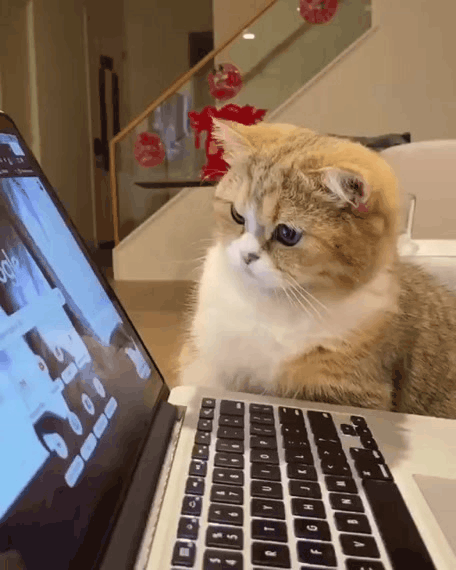 Жми на картинку, чтобы посмотреть видео. Источник: Одноклассники