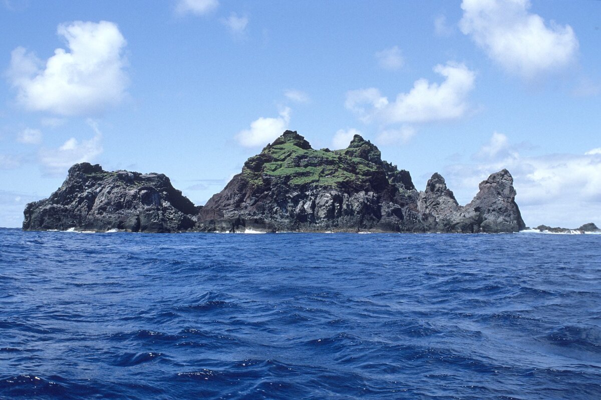 Дуэйн джонсон. Вся дубрава скалы киселёва. Л скала. Скала джонсон лицо. Ова кермадек.