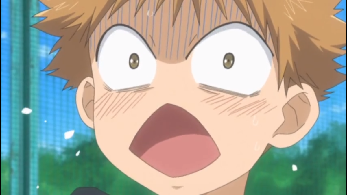 Знакомьтесь, это Рэн Михаши