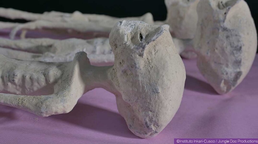 Фото взято: https://yarkov.org