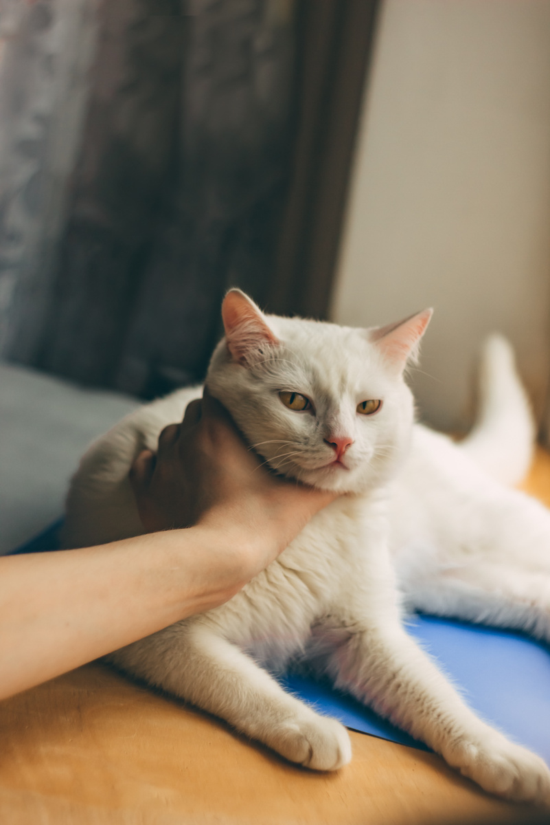 Фото: Котова Ксения